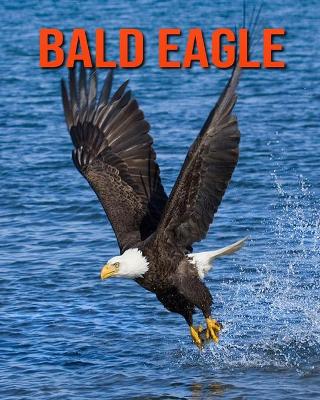 Book cover for Bald Eagle