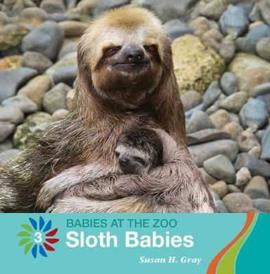 Book cover for Sloth Babies