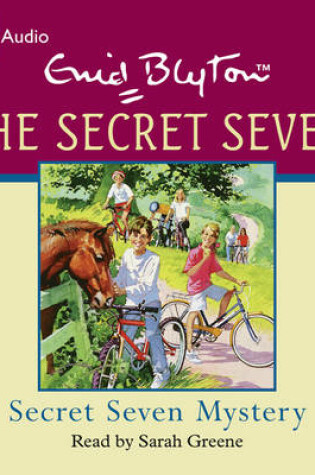 Cover of Secret Seven Mystery