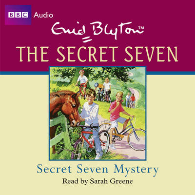 Book cover for Secret Seven Mystery