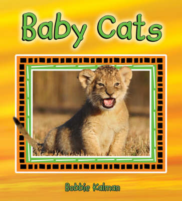 Book cover for Baby Cats