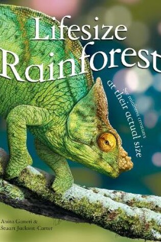 Cover of Lifesize Rainforest