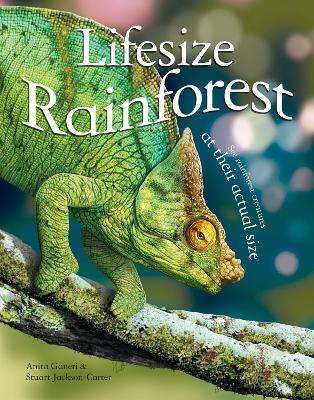 Book cover for Lifesize Rainforest