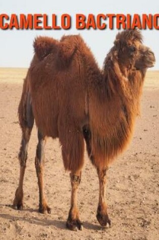 Cover of Camello bactriano