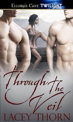 Book cover for Through the Veil