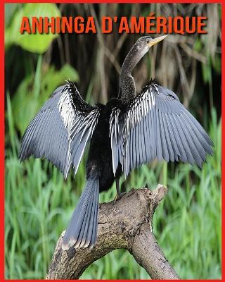 Book cover for Anhinga d'Amérique