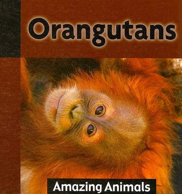 Book cover for Orangutans