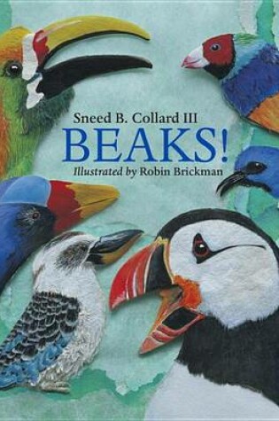 Cover of Beaks!