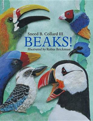 Book cover for Beaks!