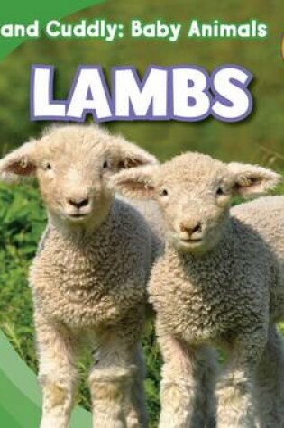 Cover of Lambs