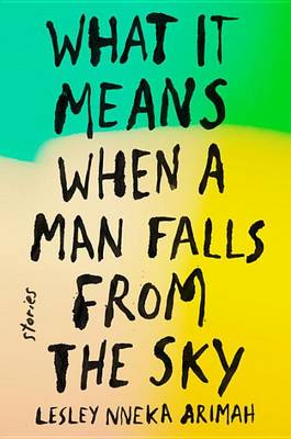 Book cover for What It Means When a Man Falls from the Sky