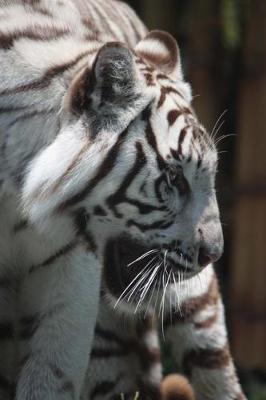 Book cover for Profile of a White Tiger Journal