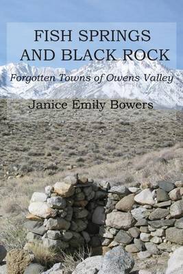 Book cover for Fish Springs and Black Rock