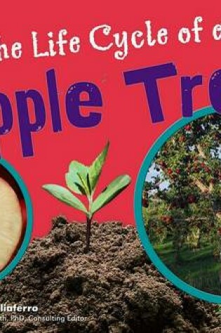 Cover of The Life Cycle of an Apple Tree