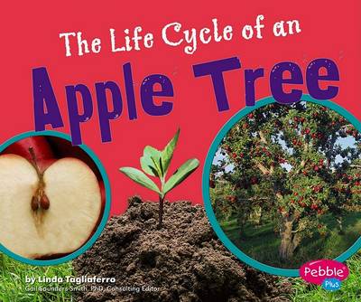 Book cover for The Life Cycle of an Apple Tree