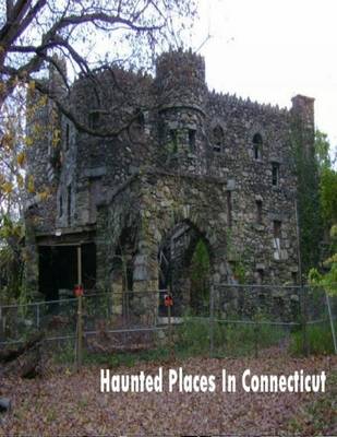 Book cover for Haunted Places In Connecticut