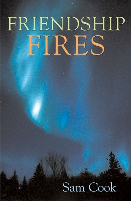 Book cover for Friendship Fires