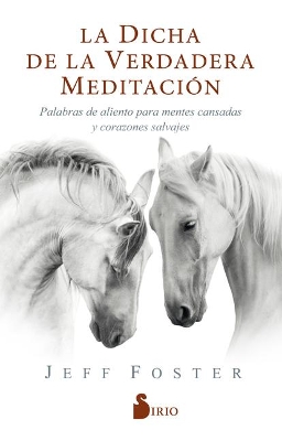 Book cover for La Dicha de la Verdadera Meditacion