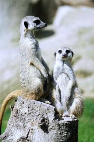 Cover of Two Meerkats Just Chillin' Journal