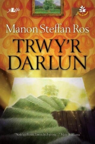 Cover of Cyfres yr Onnen: Trwy'r Darlun