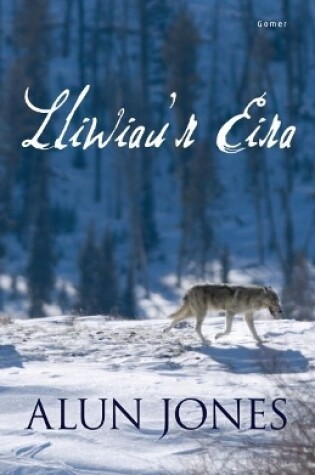 Cover of Lliwiau'r Eira