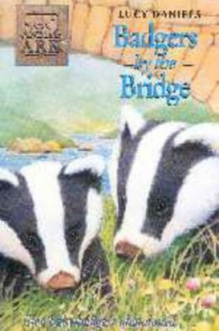 Cover of Badgers by the Bridge