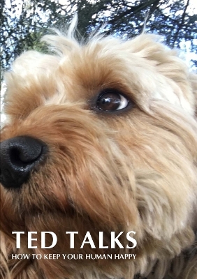 Book cover for Ted Talks