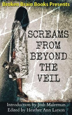 Book cover for Screams From Beyond The Veil