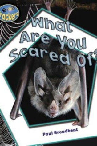 Cover of What Are You Scared Of?