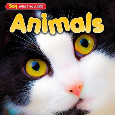 Book cover for Say What You See Animals