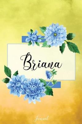 Book cover for Briana Journal