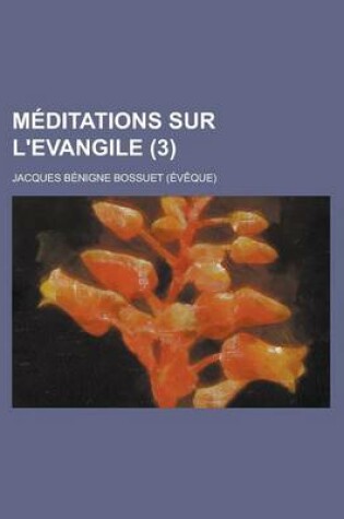 Cover of Meditations Sur L'Evangile (3 )
