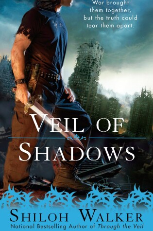 Cover of Veil Of Shadows