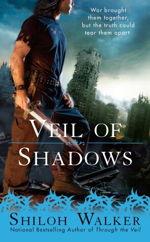 Book cover for Veil Of Shadows