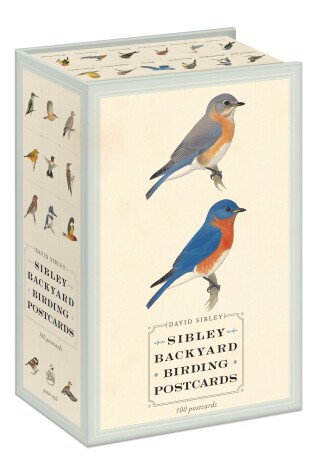 Cover of Sibley Backyard Birding Postcards