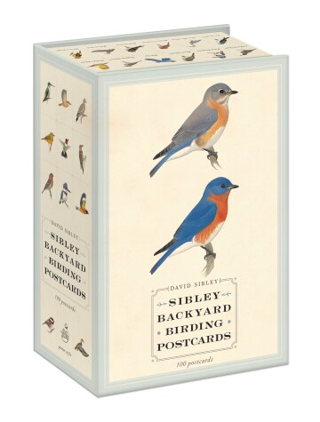 Book cover for Sibley Backyard Birding Postcards