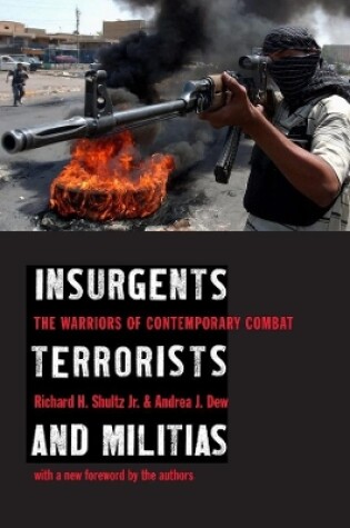 Cover of Insurgents, Terrorists, and Militias