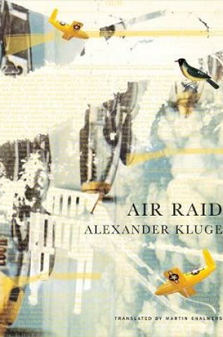 Cover of Air Raid