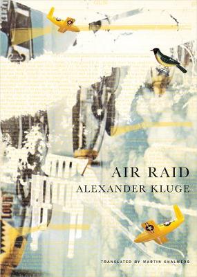 Book cover for Air Raid
