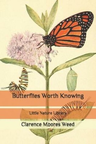 Cover of Butterflies Worth Knowing