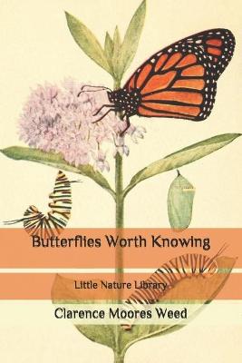 Book cover for Butterflies Worth Knowing