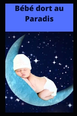 Book cover for Bébé dort au paradis