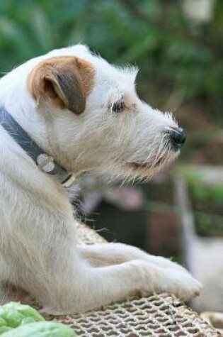 Cover of Charming Portrait of a Jack Russel Terrier Dog Journal