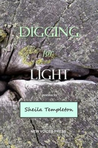 Cover of Digging For Light