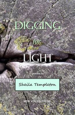 Book cover for Digging For Light