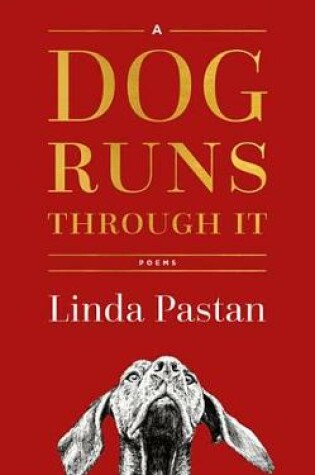 Cover of A Dog Runs Through It