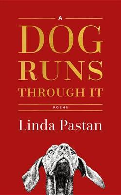 Book cover for A Dog Runs Through It