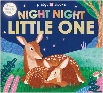 Book cover for Night Night Little One