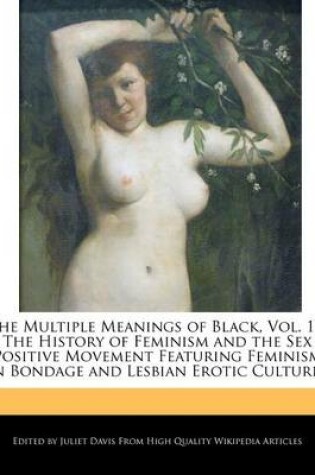 Cover of The Multiple Meanings of Black, Vol. 15