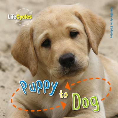 Book cover for Puppy to Dog